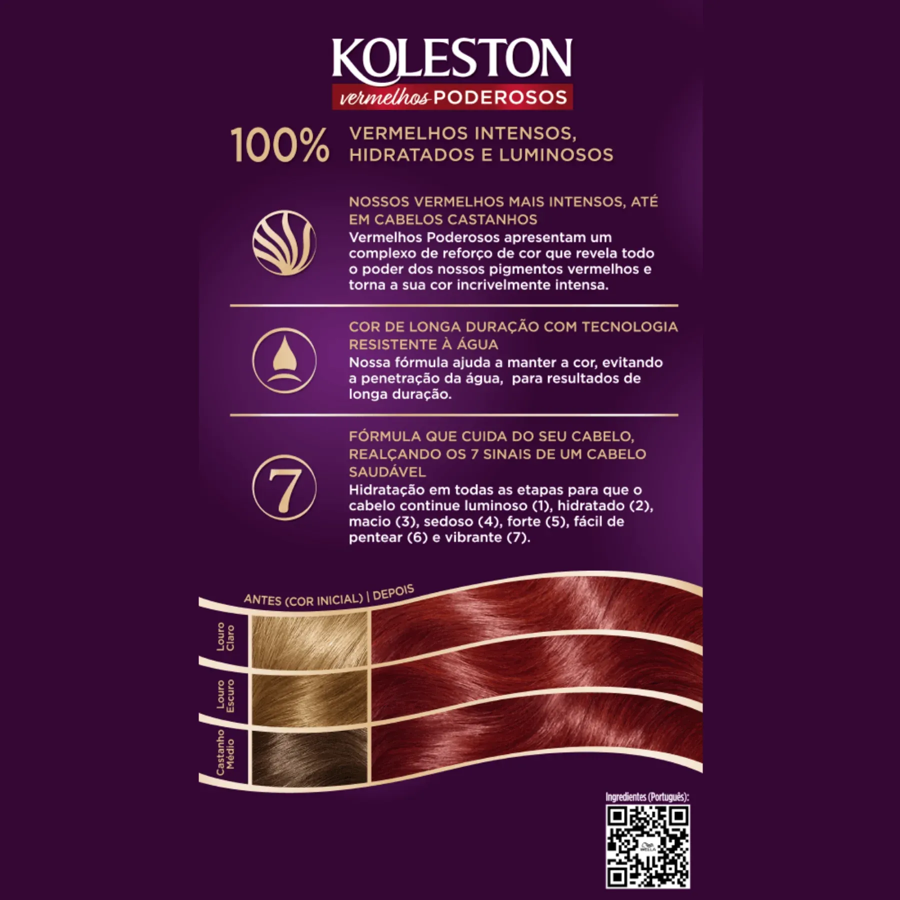 KL 6646 -2-